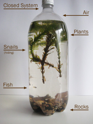 bottle ecosystem with parts labeled