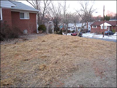 Yard After Trenching