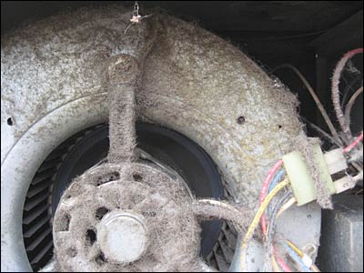 Change your filters--look at this dust!