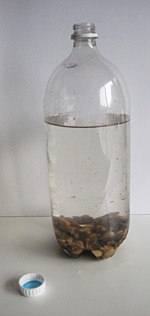 bottle with water and rocks