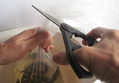 cut the top off the plastic bag