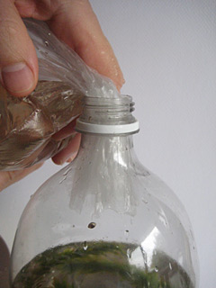 tuck the bag into the top of the bottle