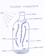 diagram of model closed ecosystem