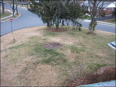 Yard from Roof